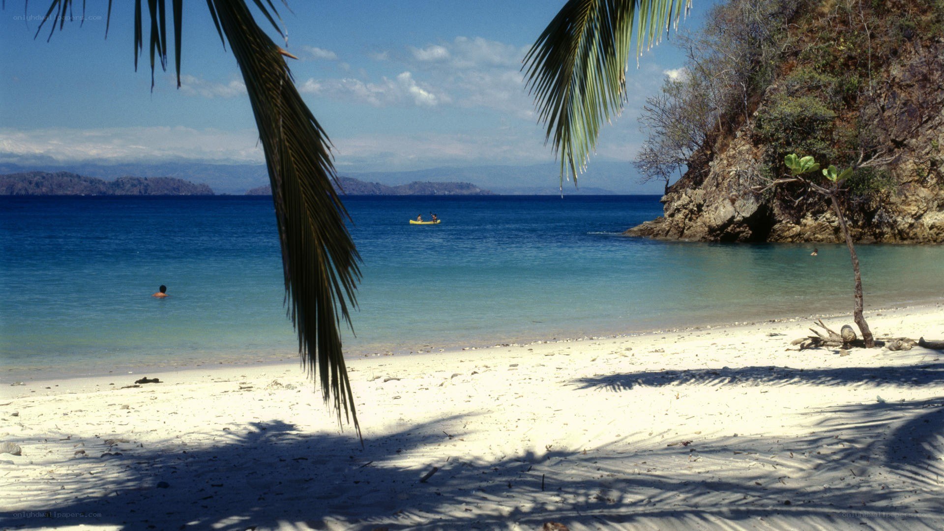 tropical beach with kayakers