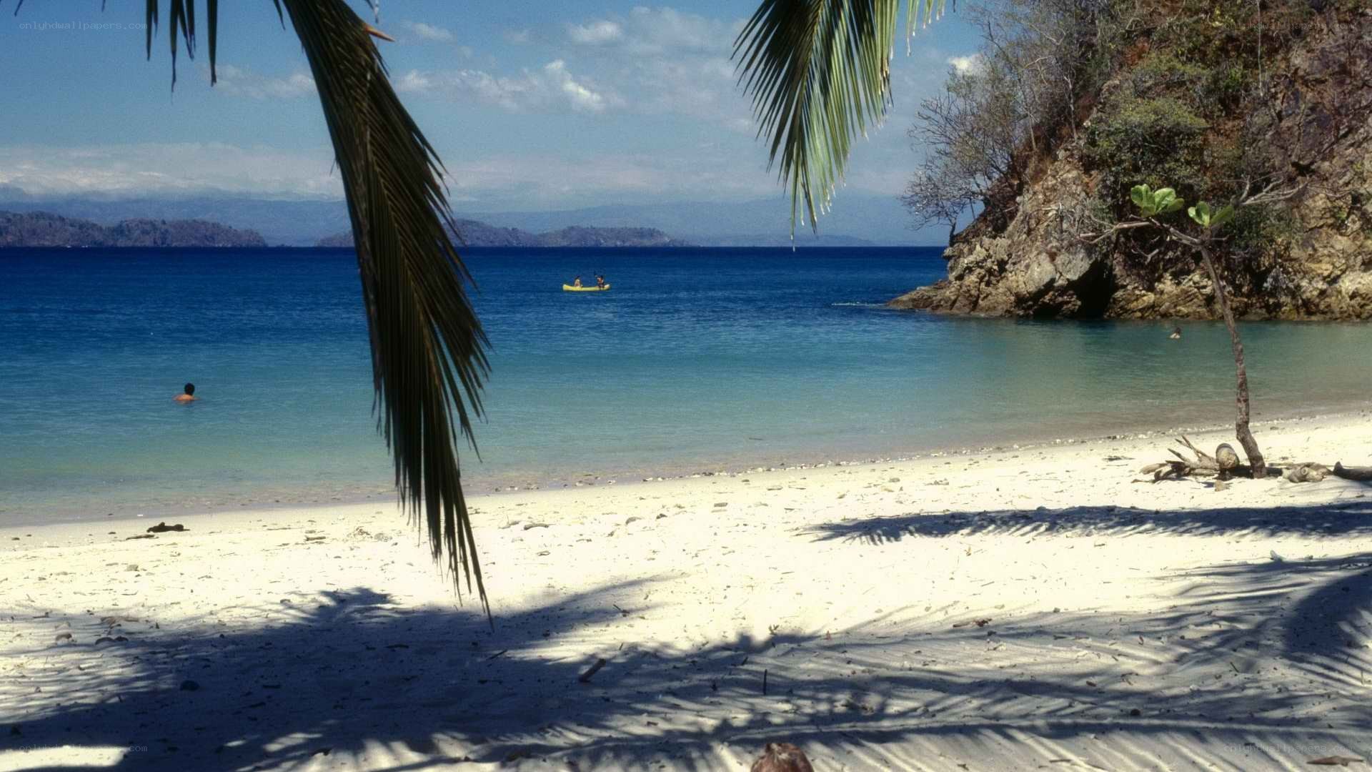 tropical beach with kayakers