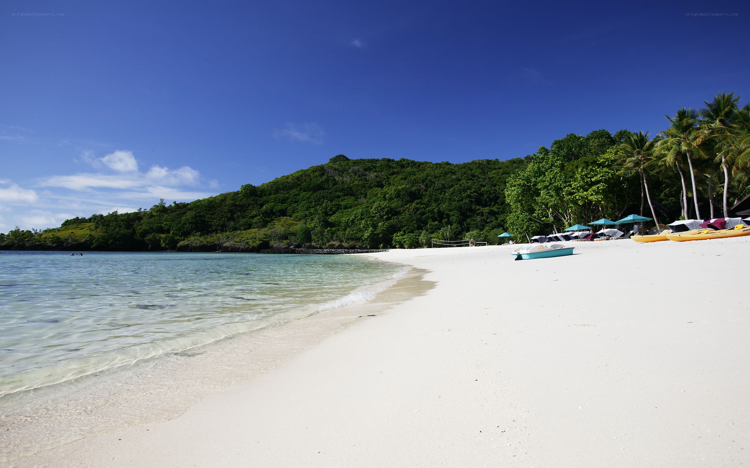 tropical beach with kayaks