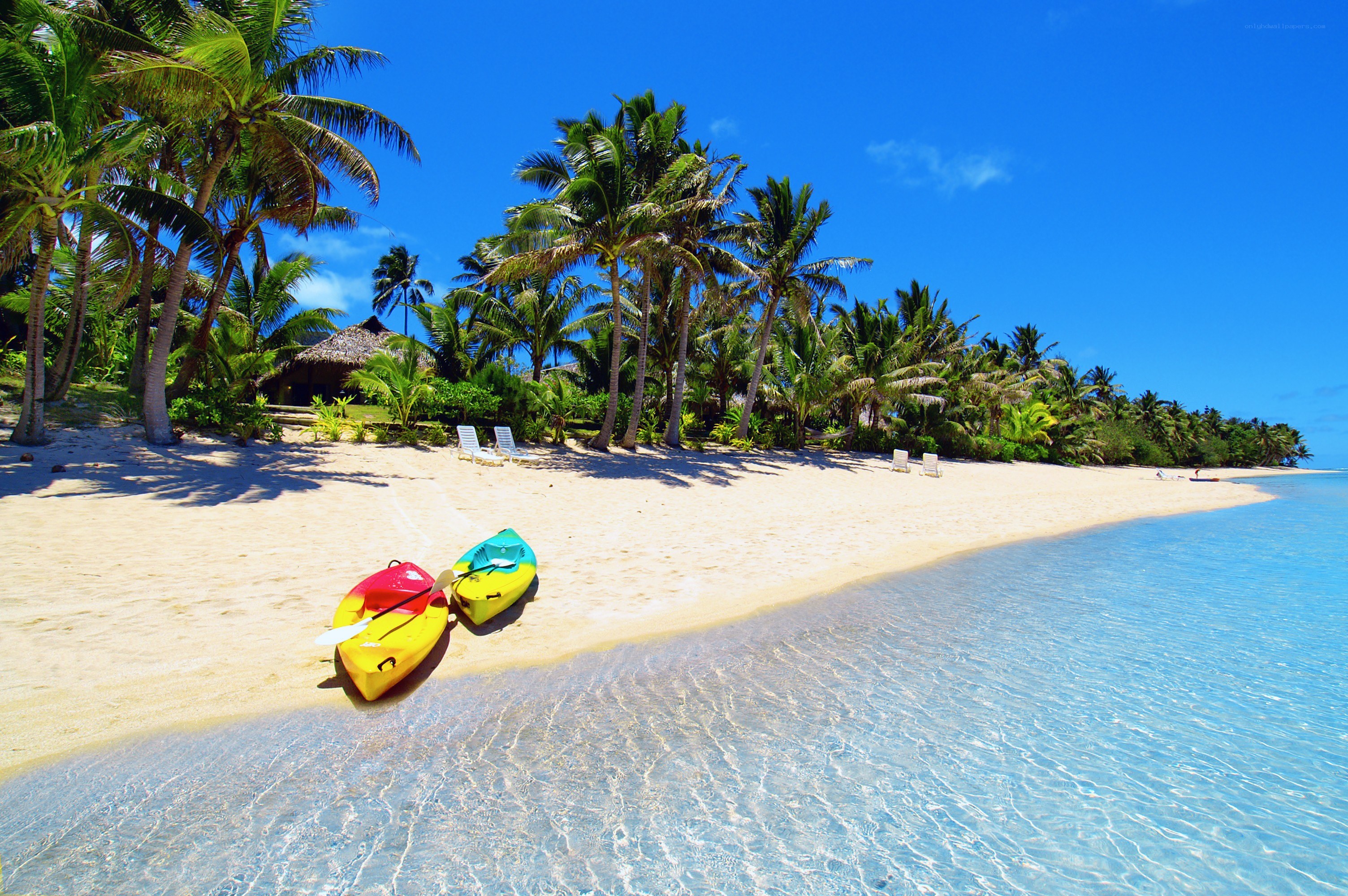 tropical beach with kayaks
