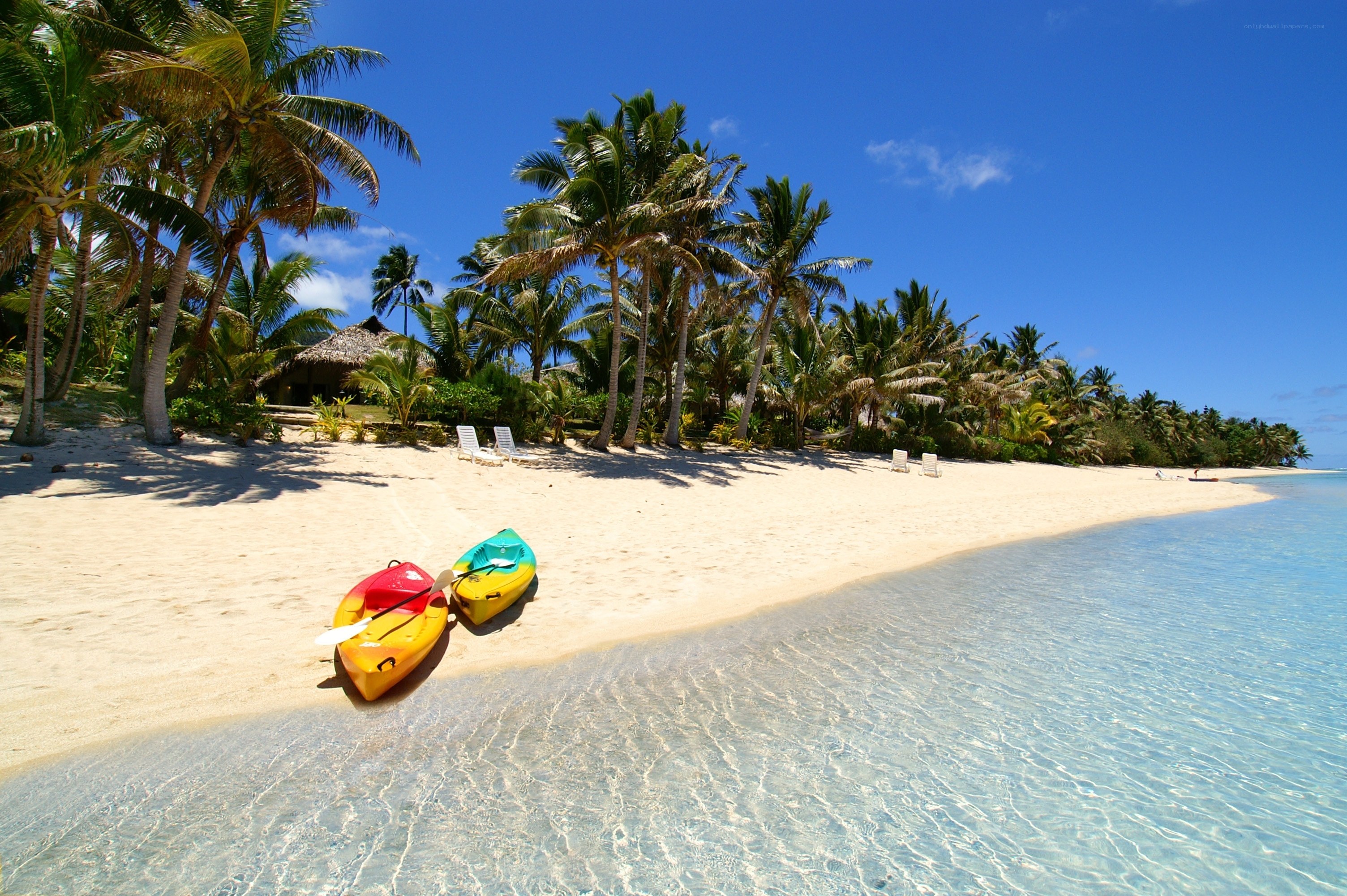 tropical beach with kayaks