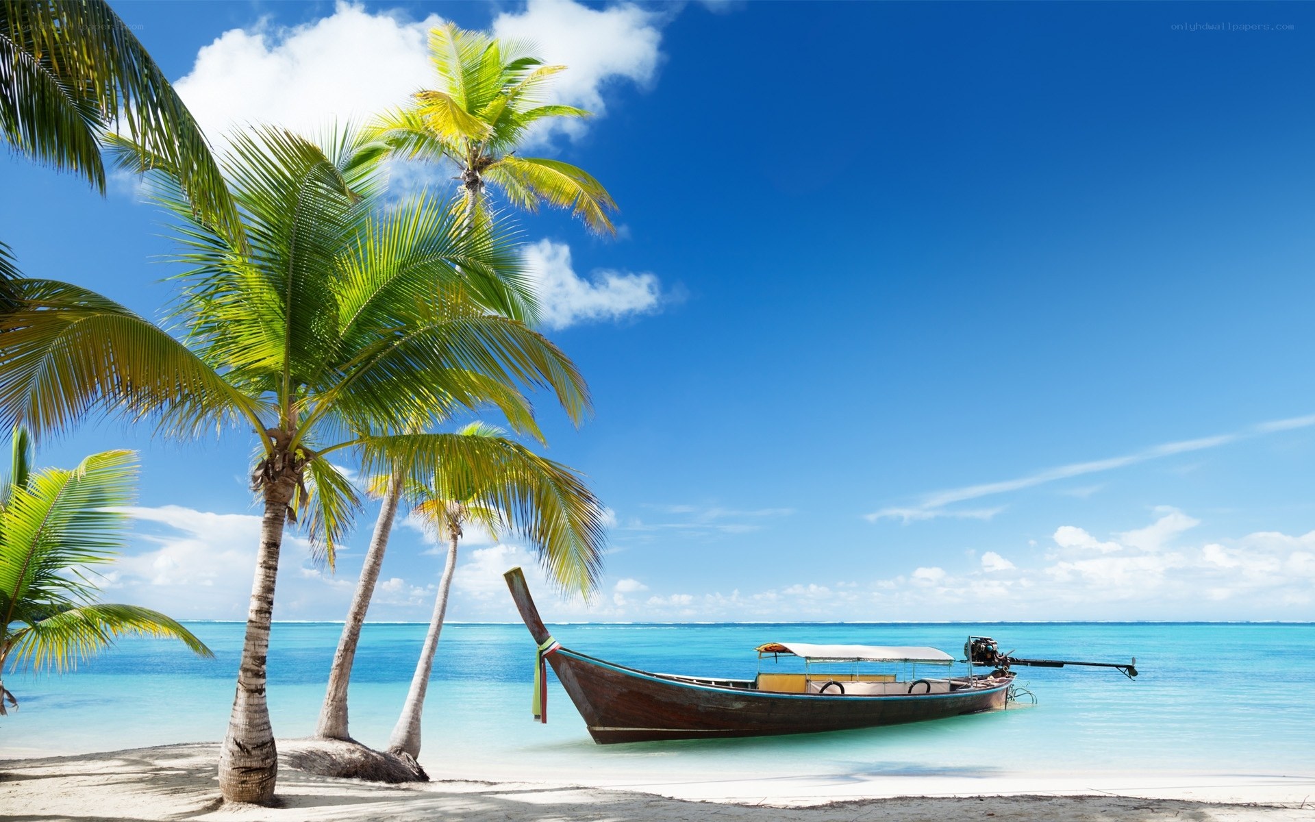 tropical beach with longtail boat