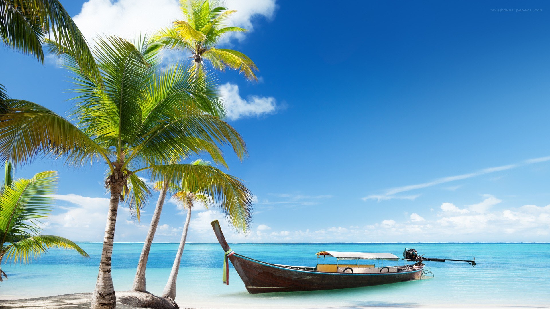 tropical beach with longtail boat
