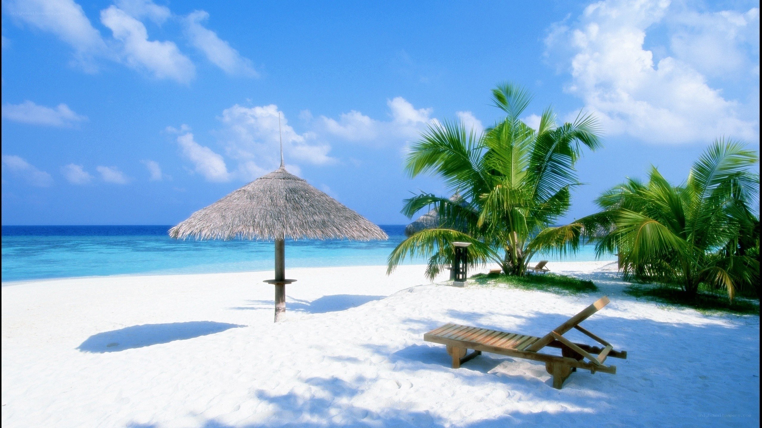 tropical beach with lounge chair