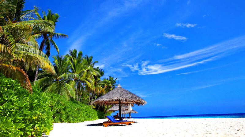 Tropical Beach with Lounge Chair — Blue, Serene