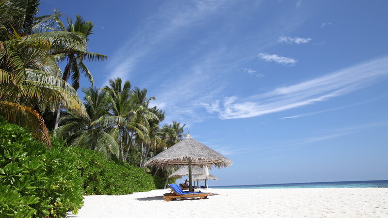 Tropical Beach with Lounge Chair — Blue