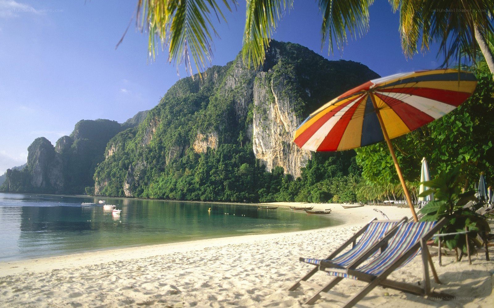 tropical beach with lounge chairs