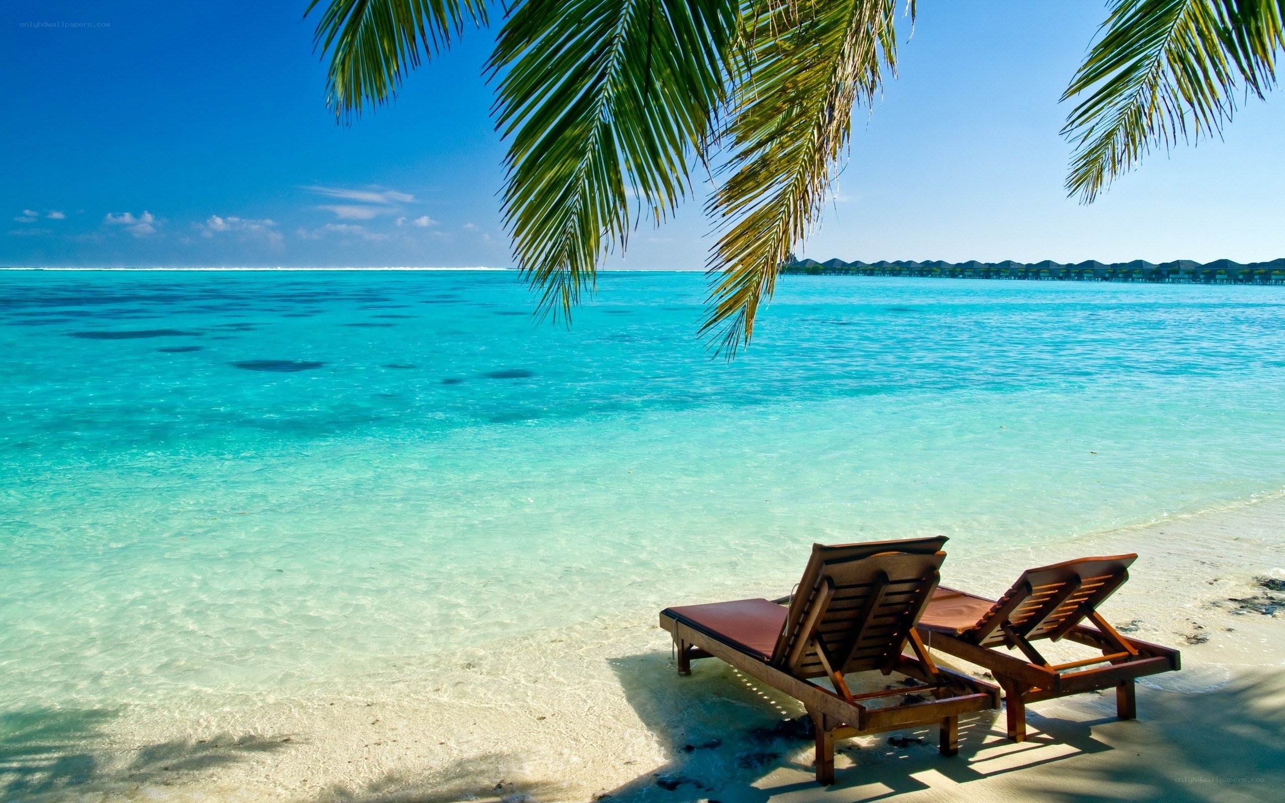 Tropical beach with lounge chairs