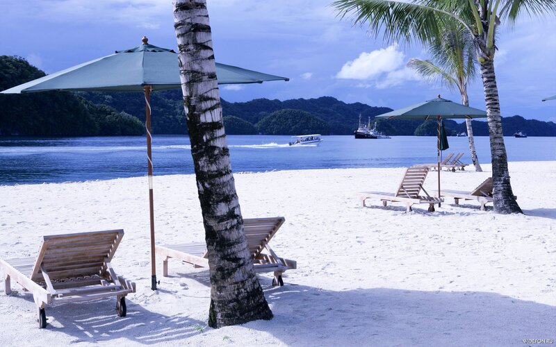 Tropical beach with lounge chairs
