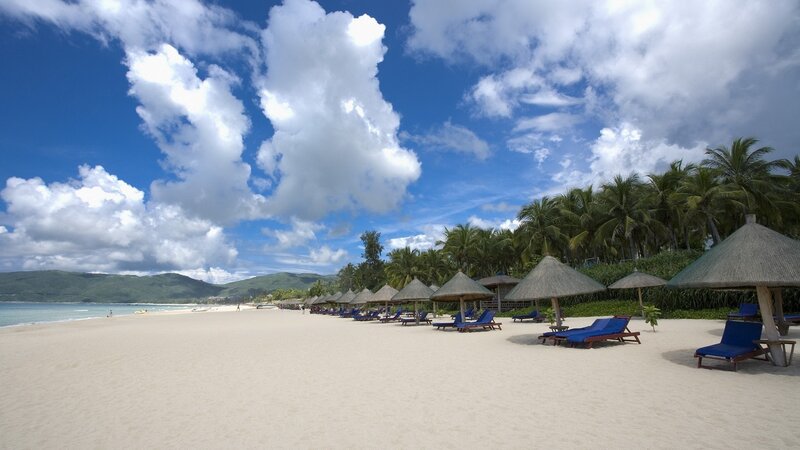 tropical beach with lounge chairs