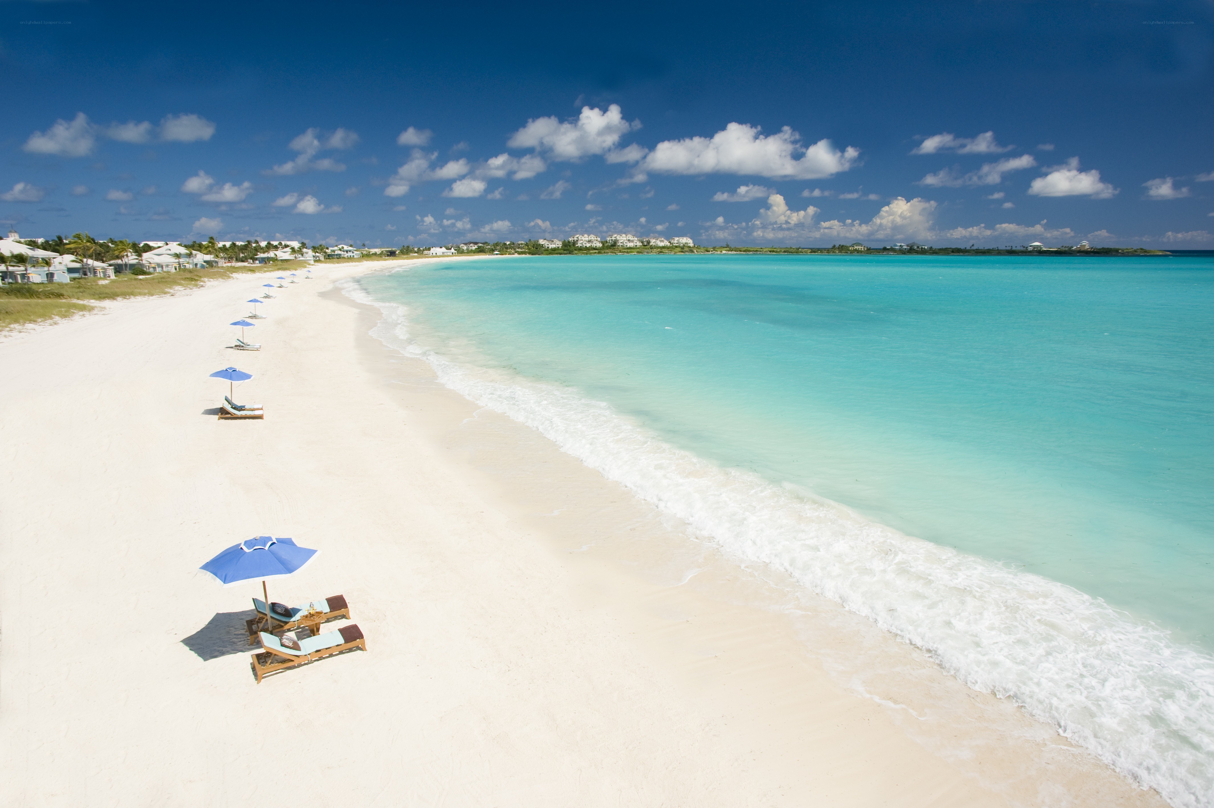 tropical beach with lounge chairs