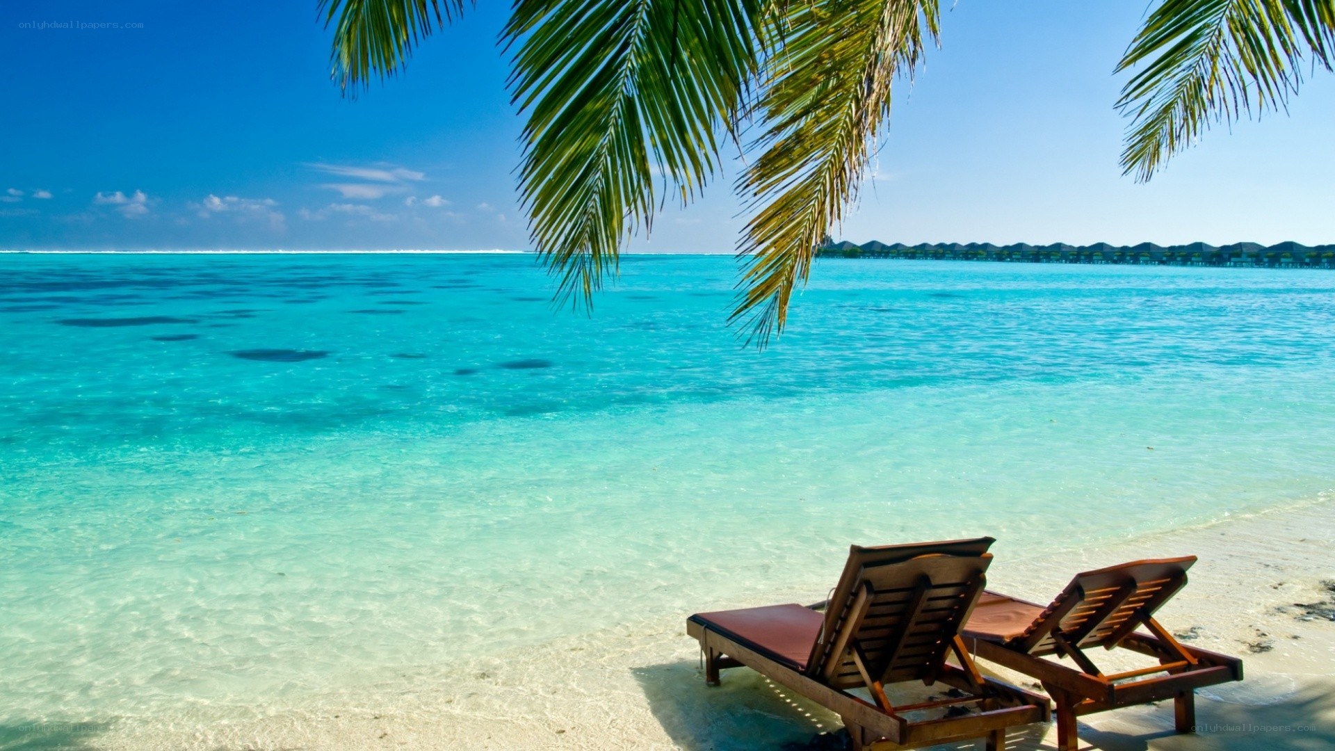 Tropical beach with lounge chairs