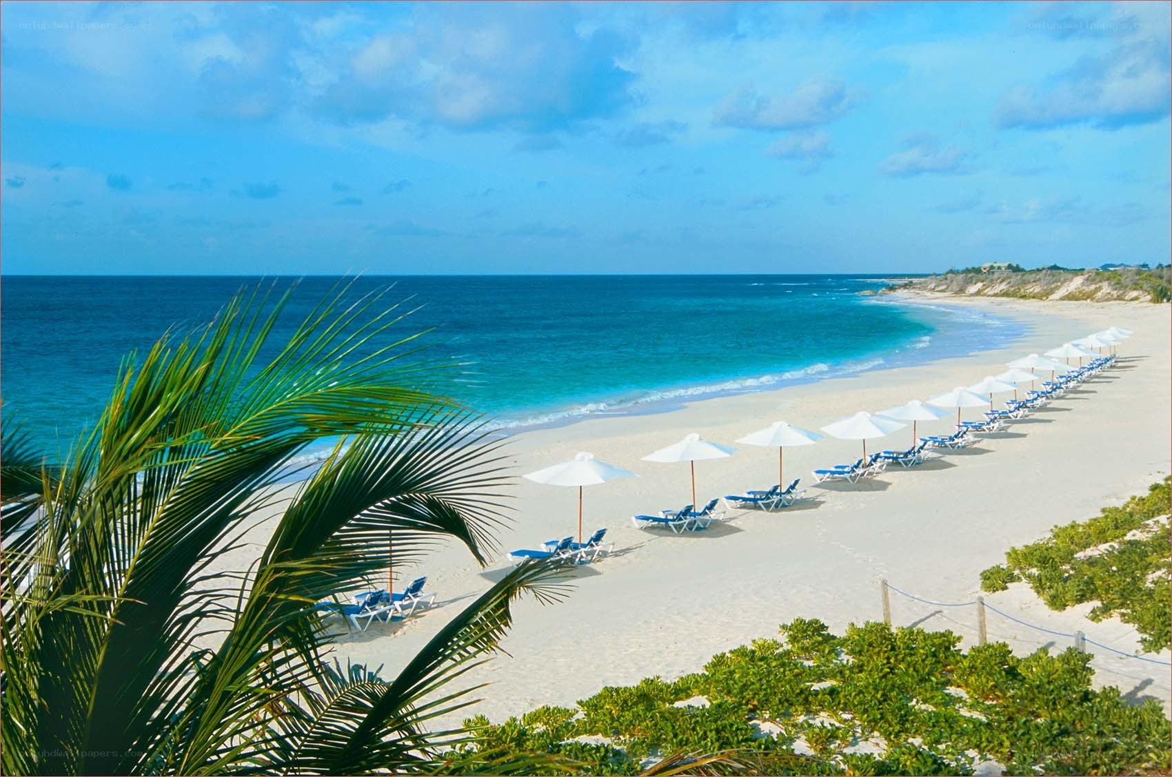 tropical beach with lounge chairs