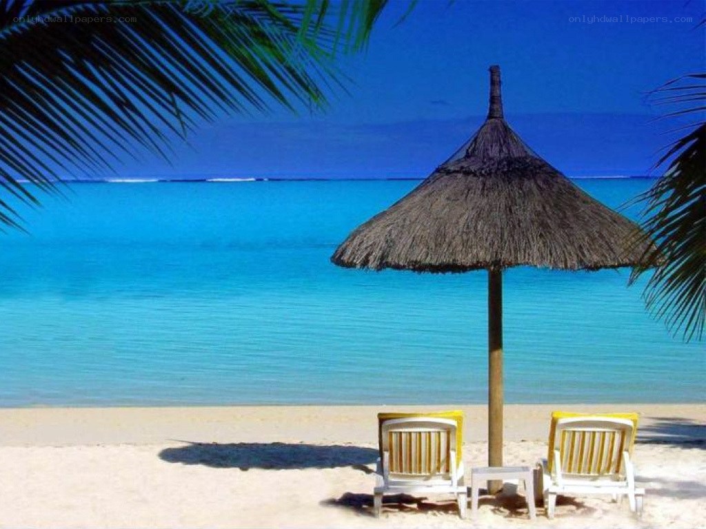 Tropical beach with lounge chairs