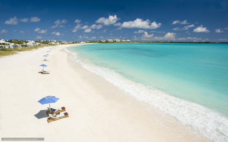 tropical beach with lounge chairs