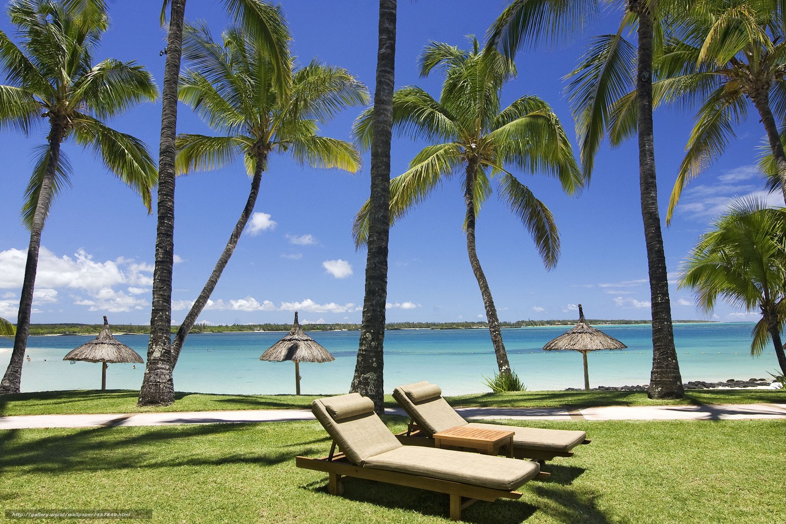Tropical beach with lounge chairs