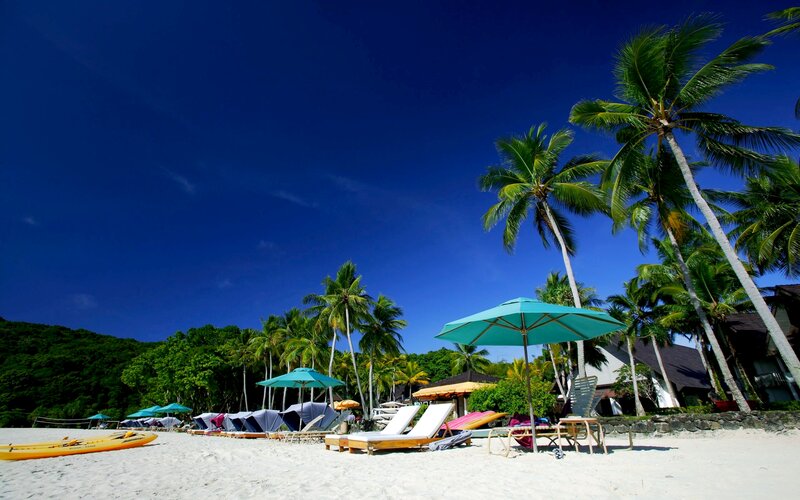 Tropical Beach with Lounge Chairs — Blue, Serene, Afternoon, Photograph, Palm Trees