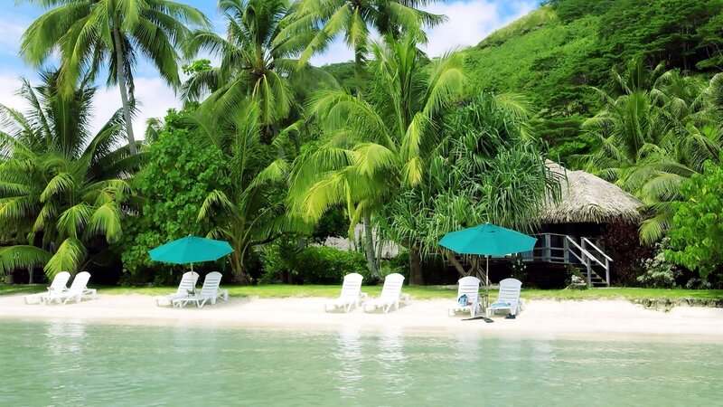 Tropical Beach with Lounge Chairs — Green, Serene