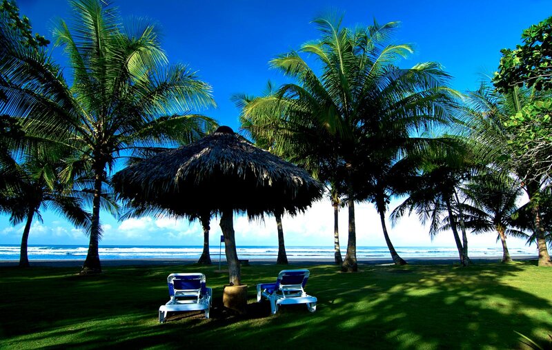 Tropical Beach with Lounge Chairs — Green