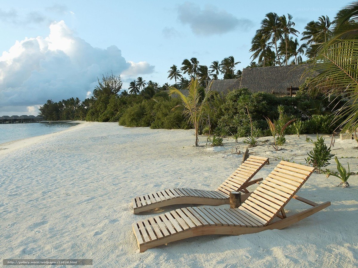 Tropical beach with lounge chairs