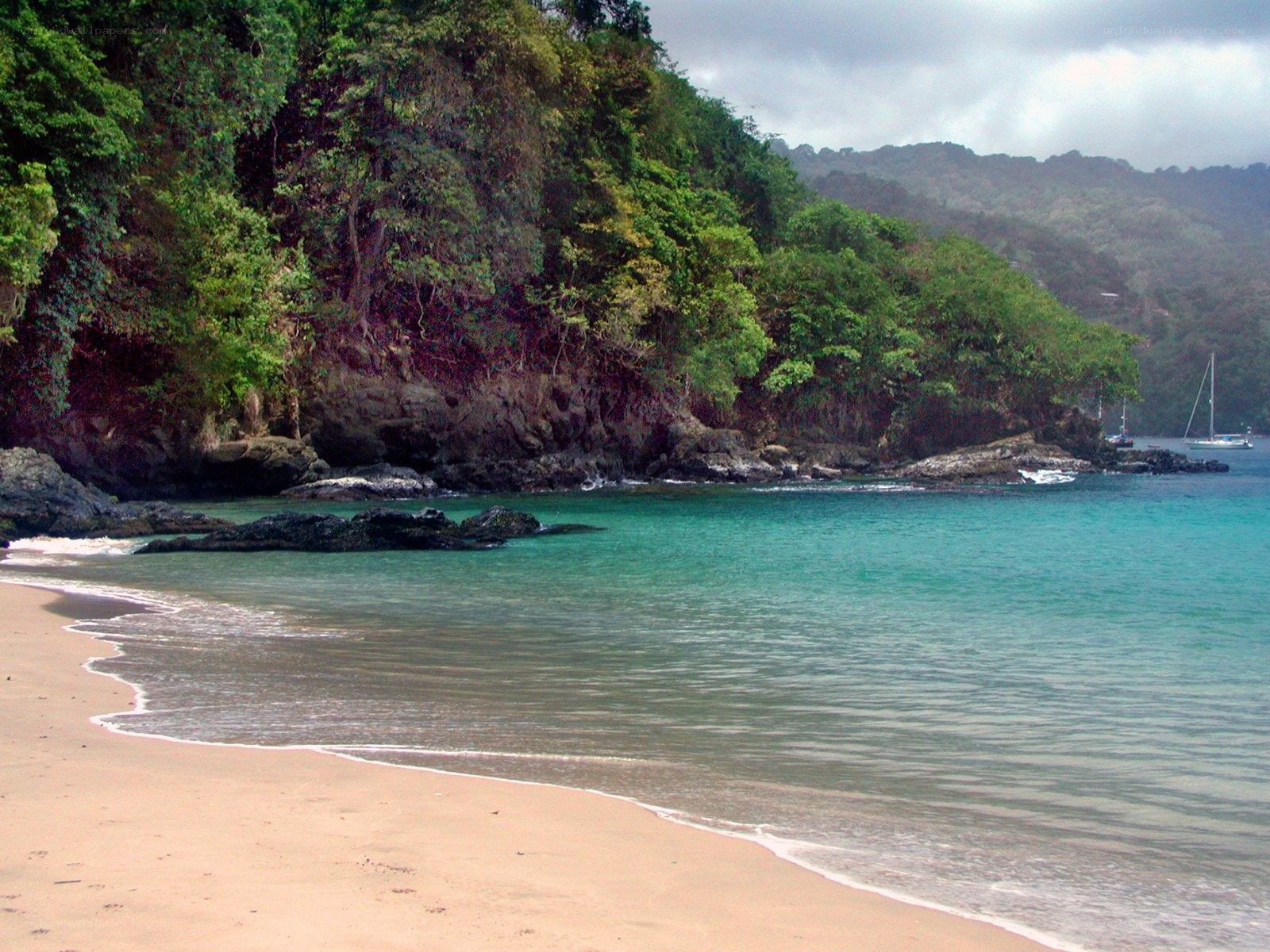 tropical beach with lush forest
