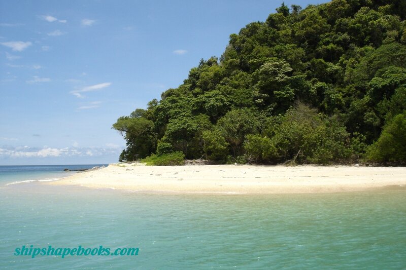 tropical beach with lush forest