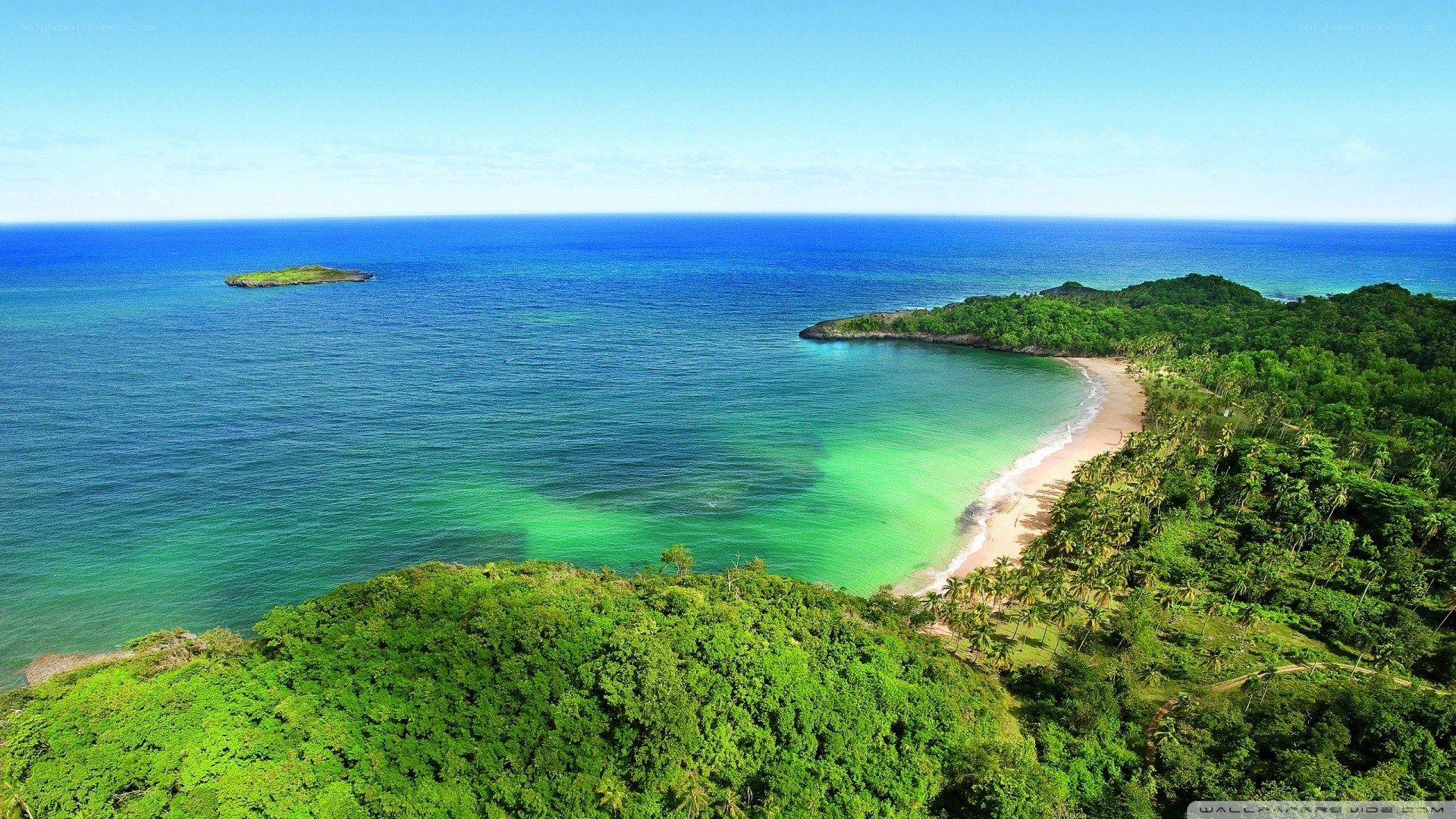 tropical beach with lush greenery