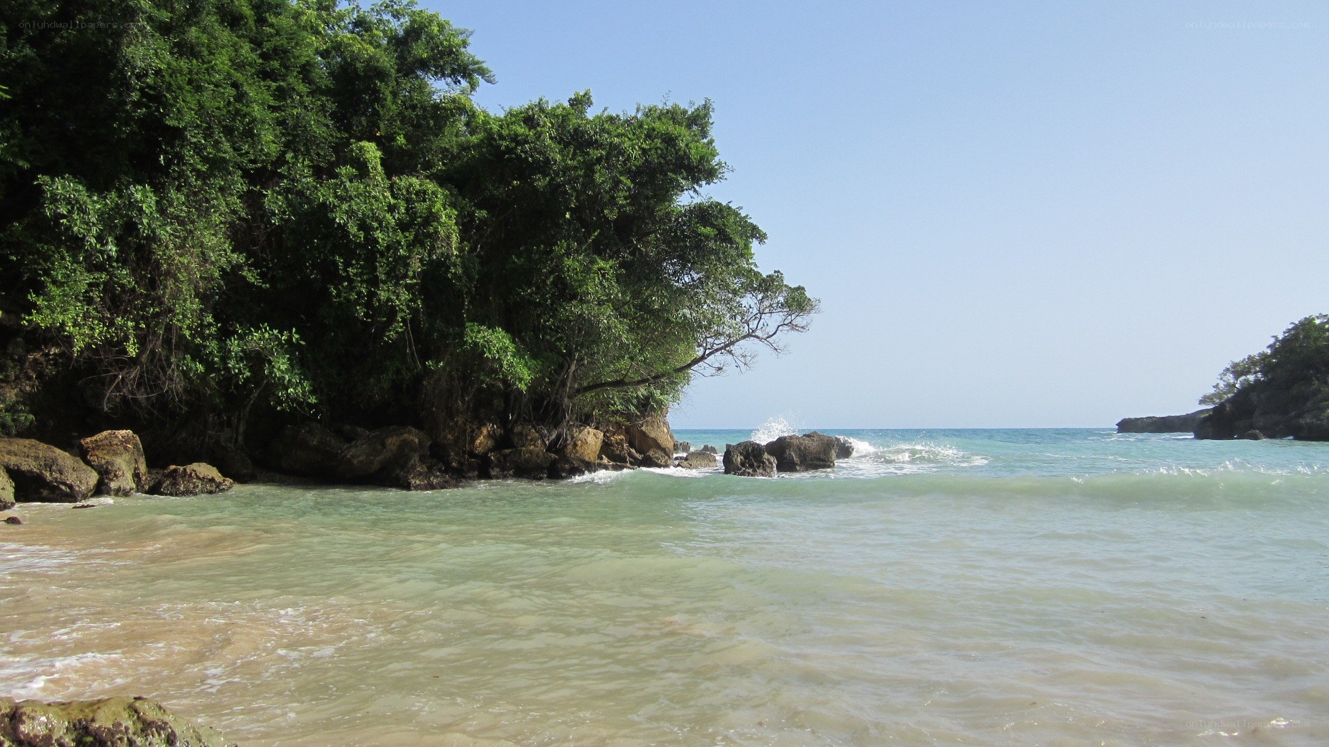 tropical beach with lush greenery