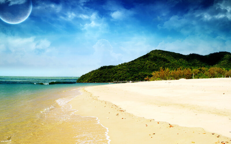 tropical beach with moon