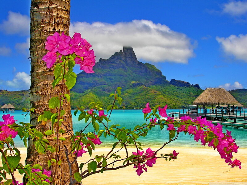 Tropical Beach with Mountain — Blue