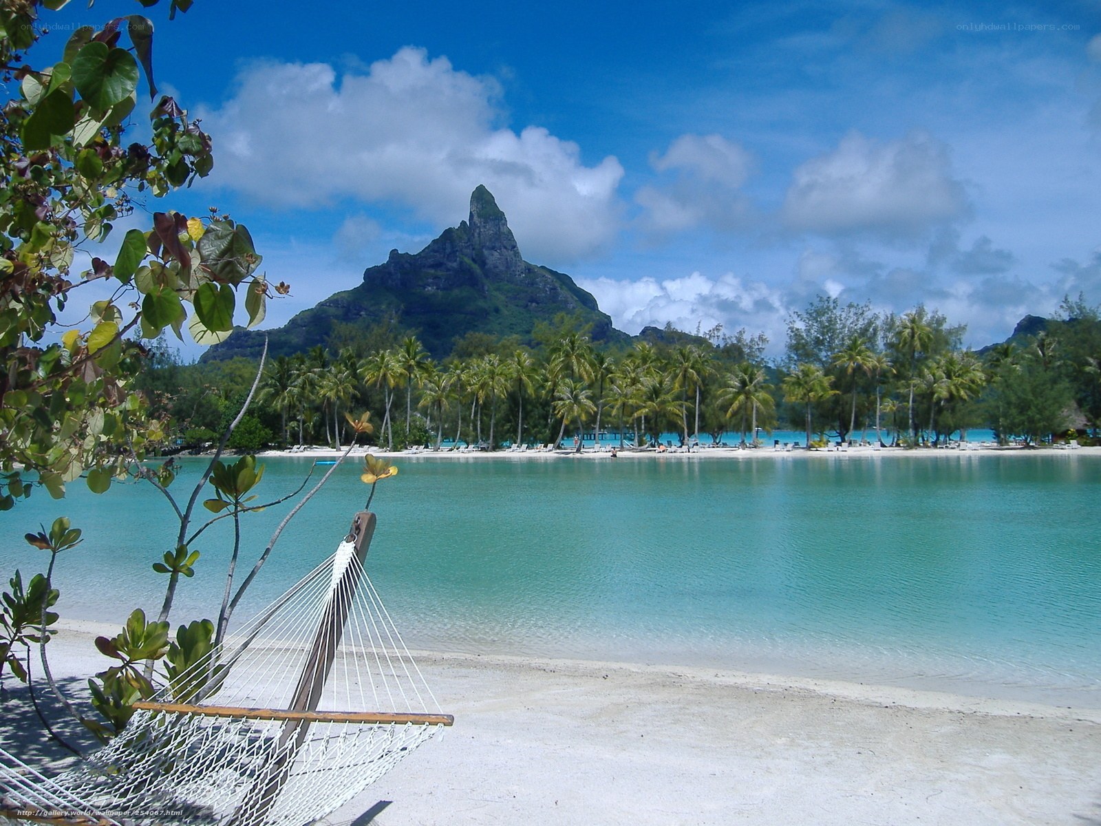 tropical beach with mountain view