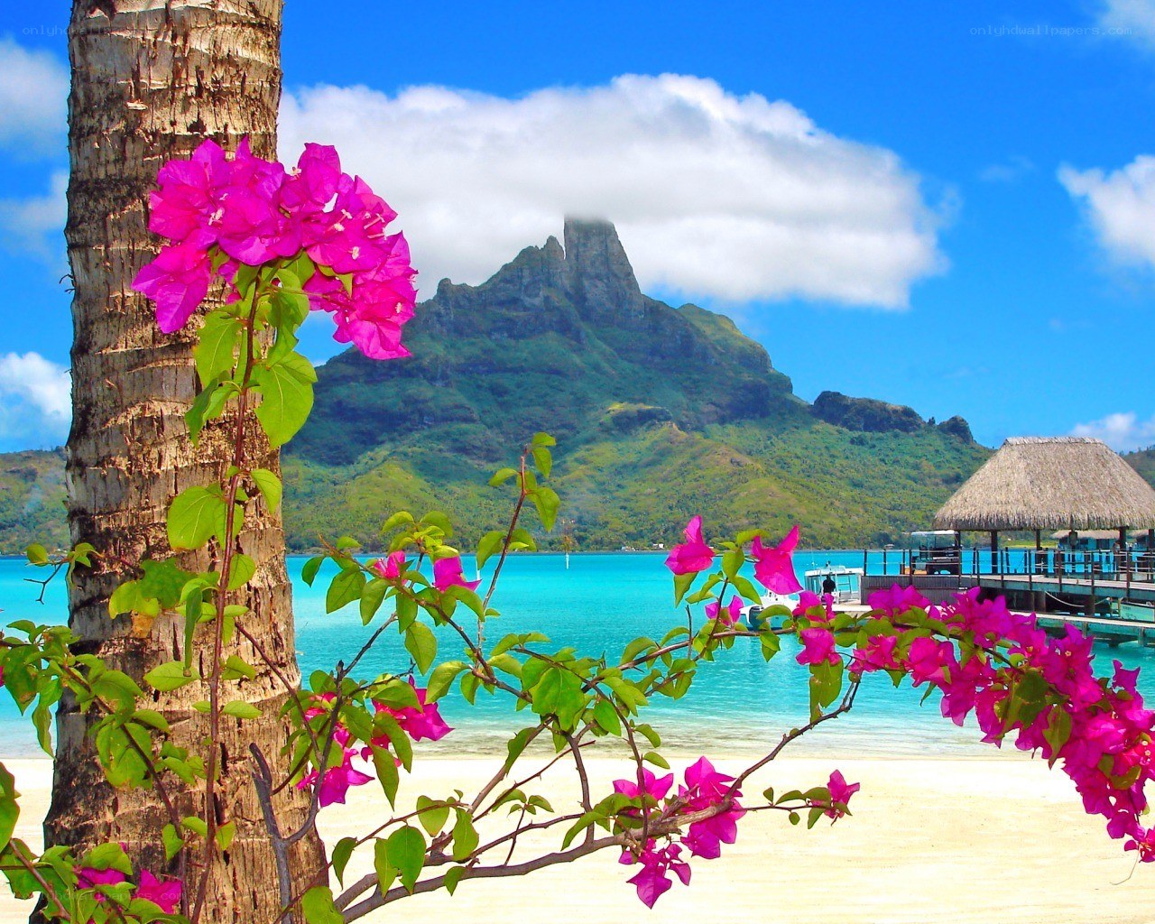 Tropical beach with mountain view