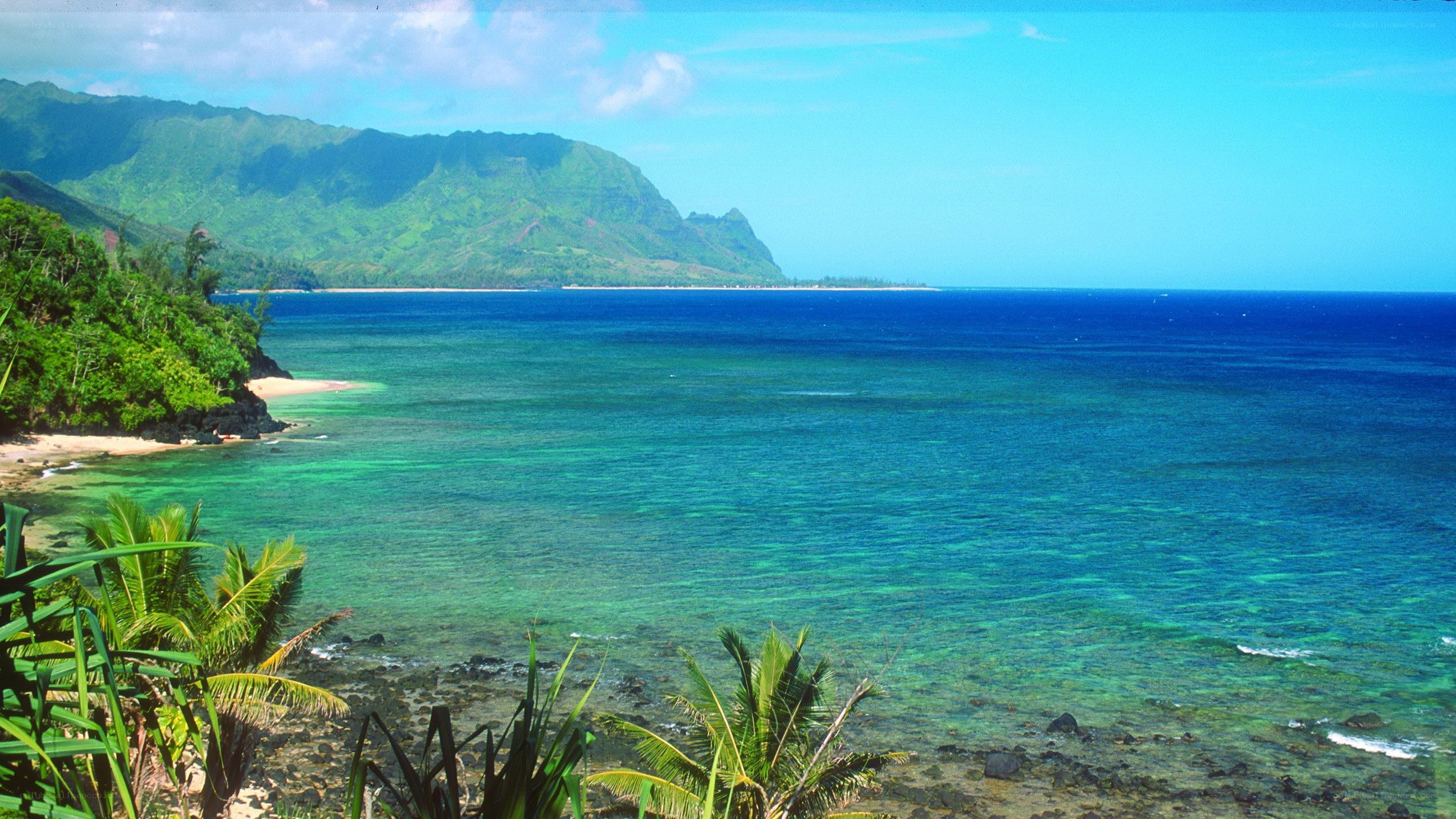 tropical beach with mountains