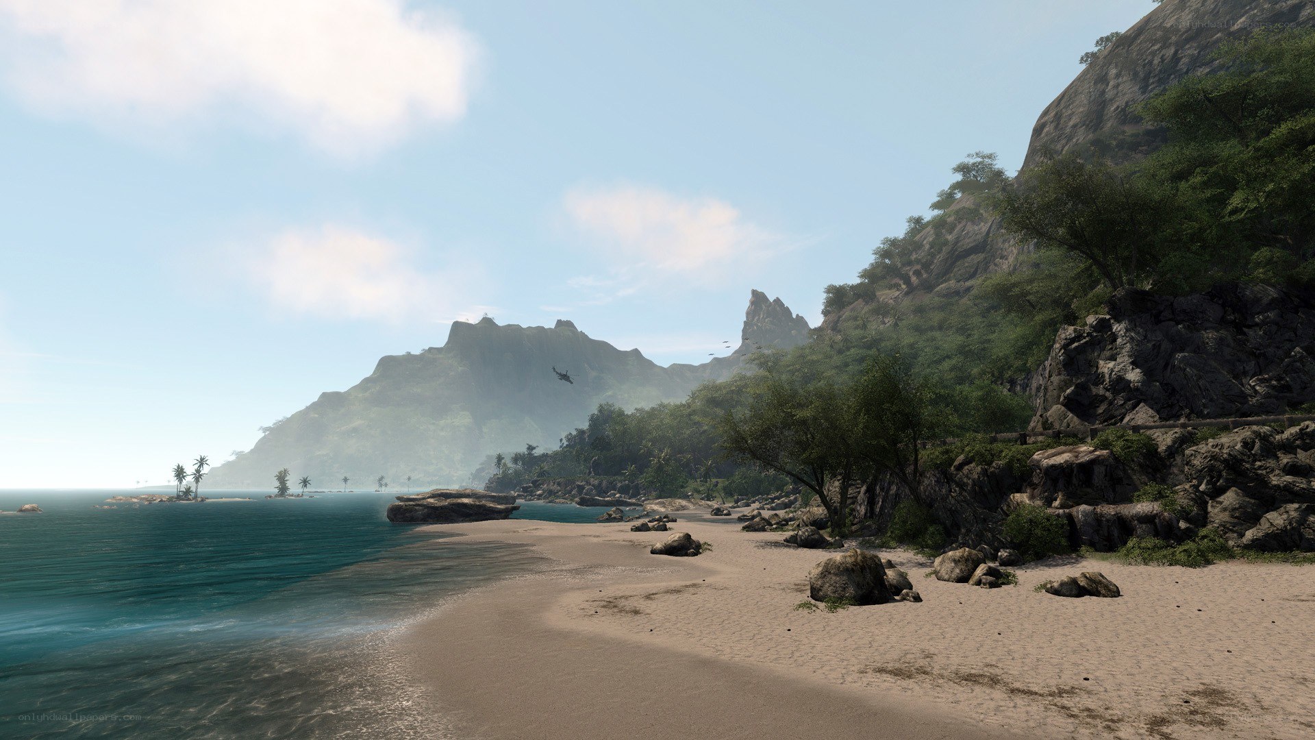 tropical beach with mountains