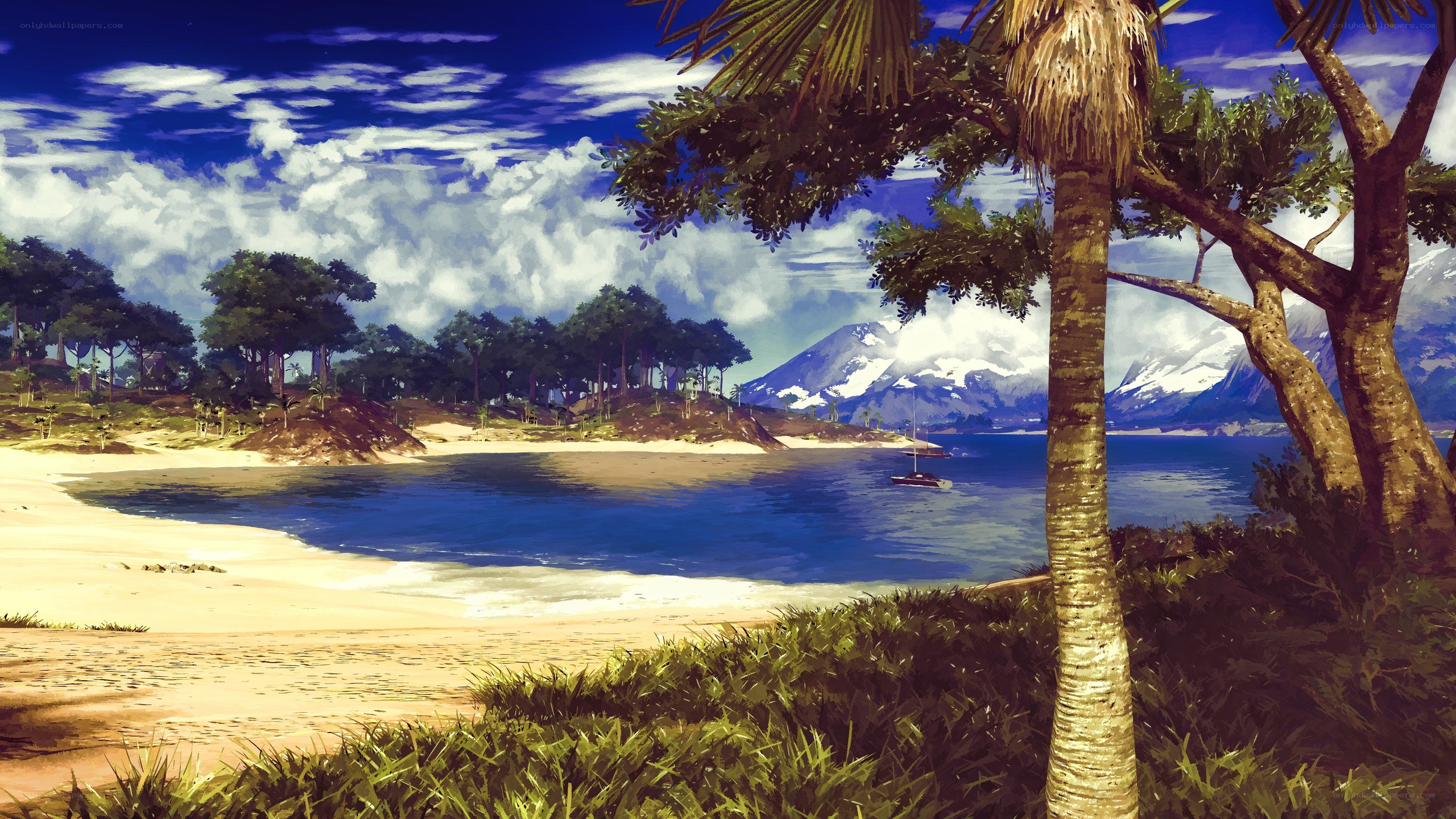 tropical beach with mountains