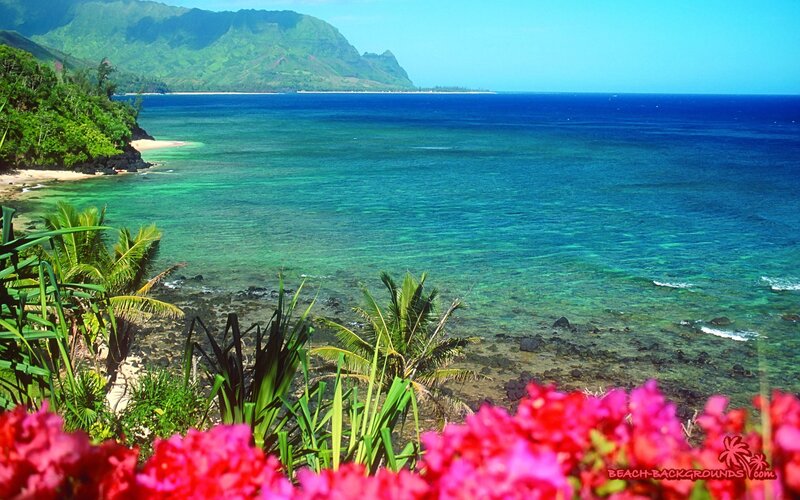 tropical beach with mountains