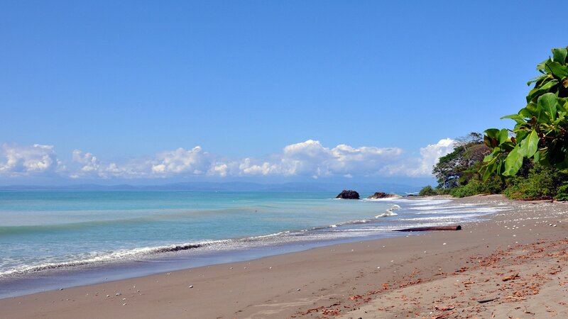 Tropical Beach with Ocean — Blue, Serene