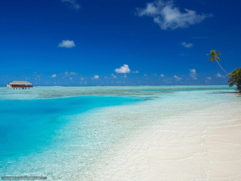 Tropical beach with overwater bungalow