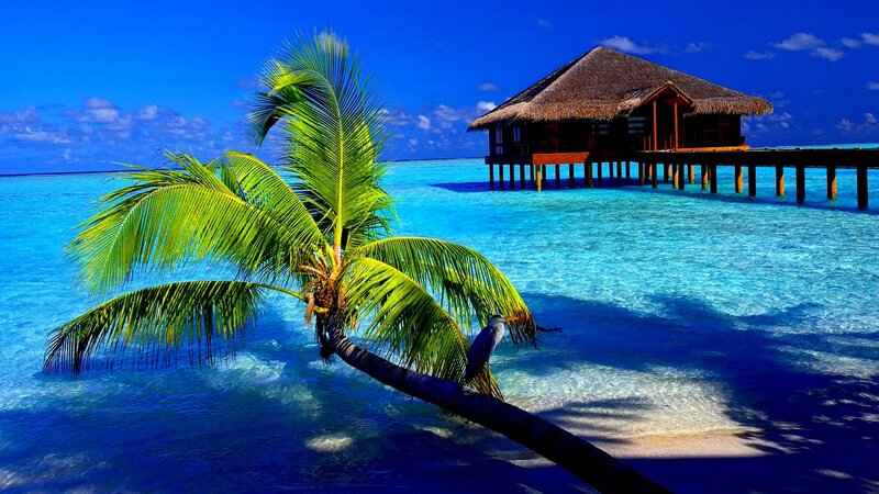 Tropical beach with overwater bungalow