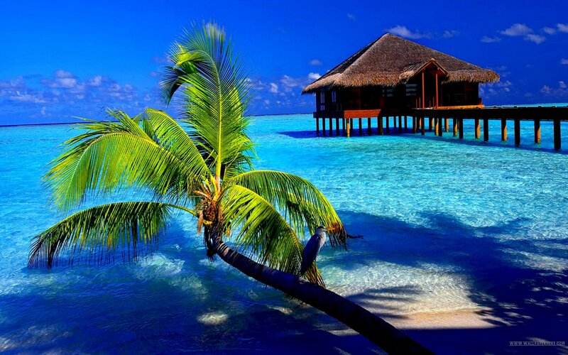 Tropical beach with overwater bungalow
