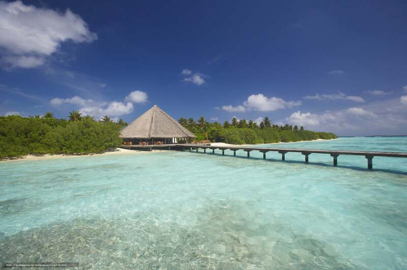 Tropical beach with overwater bungalow