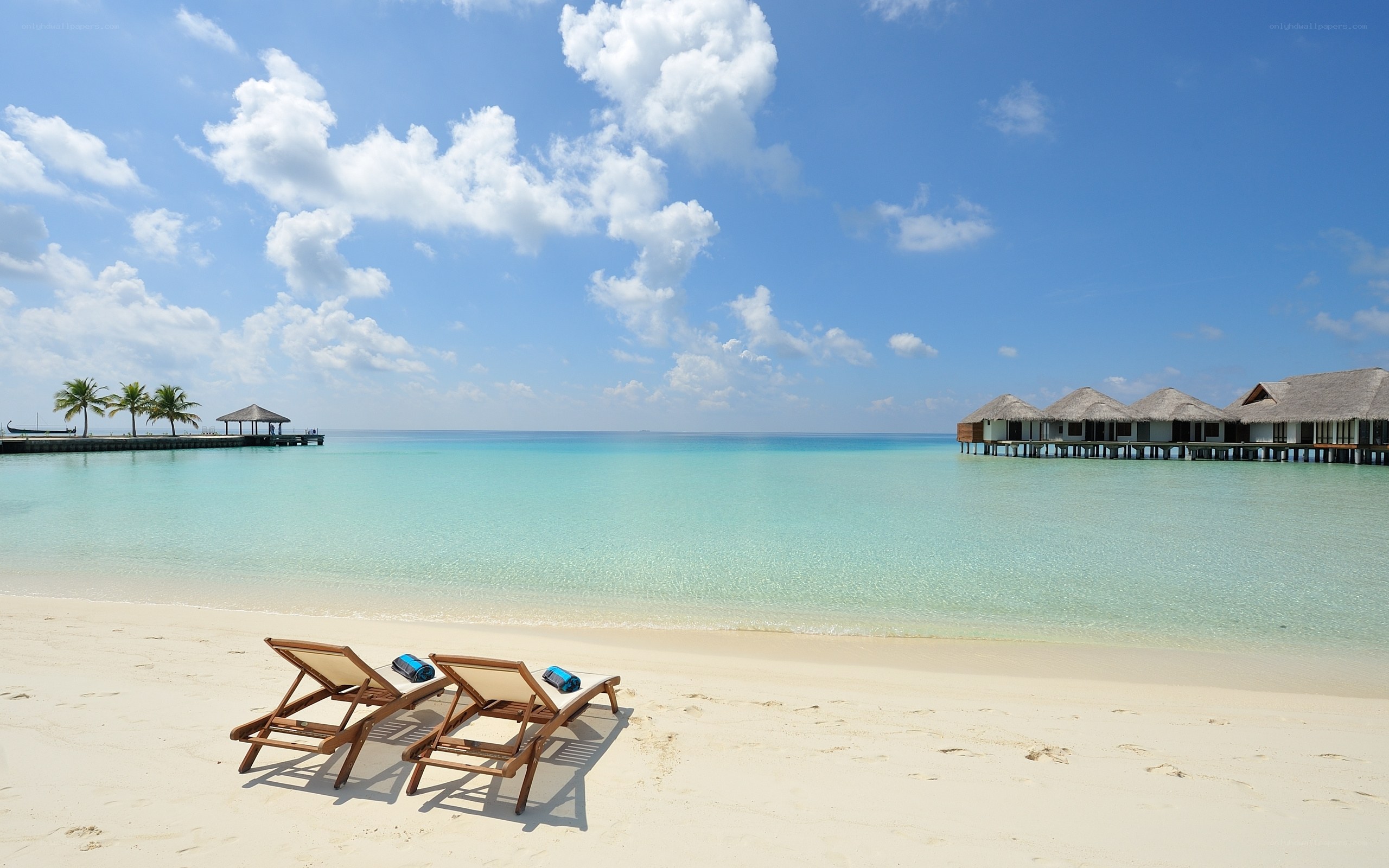 Tropical beach with overwater bungalows
