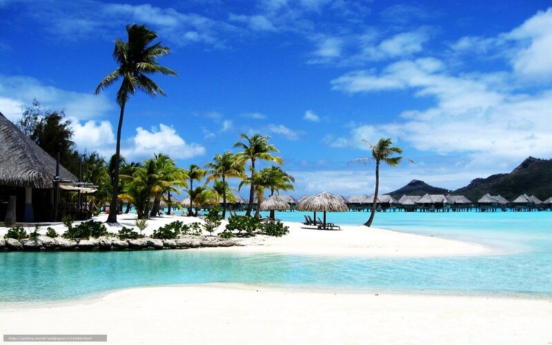 tropical beach with overwater bungalows