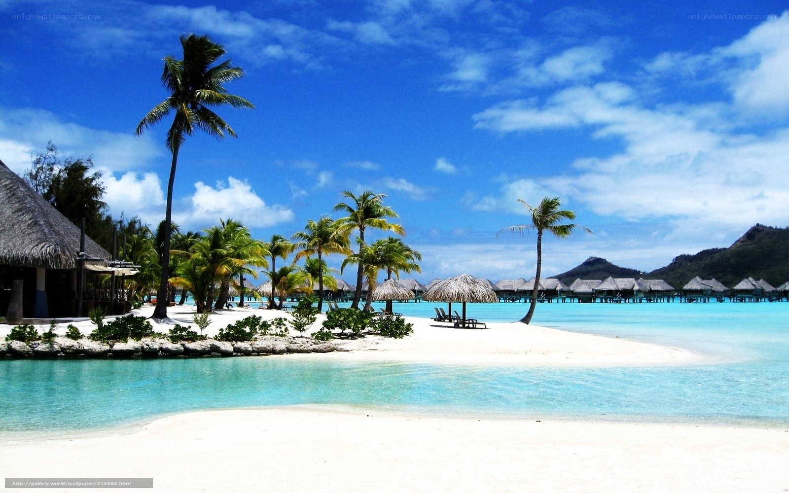 tropical beach with overwater bungalows