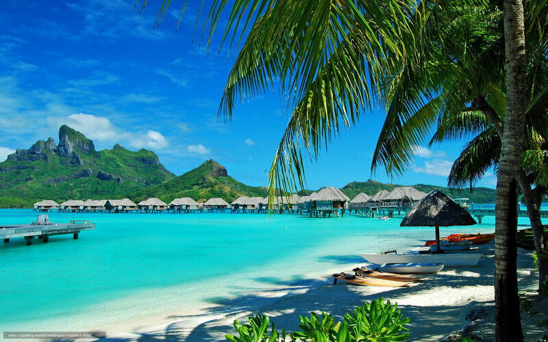 tropical beach with overwater bungalows