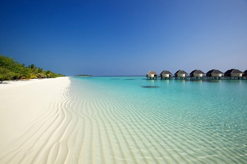 tropical beach with overwater bungalows