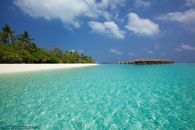 tropical beach with overwater bungalows