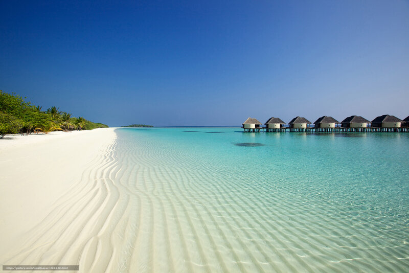Tropical beach with overwater bungalows