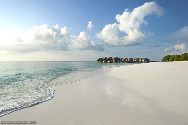 tropical beach with overwater bungalows