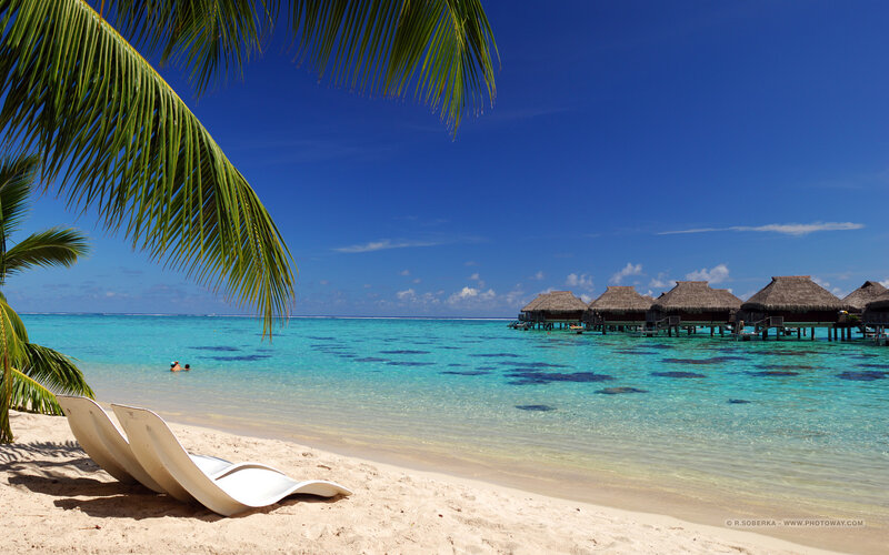 Tropical beach with overwater bungalows